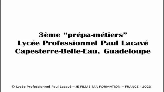 3e "prépa-métiers" es para ti.