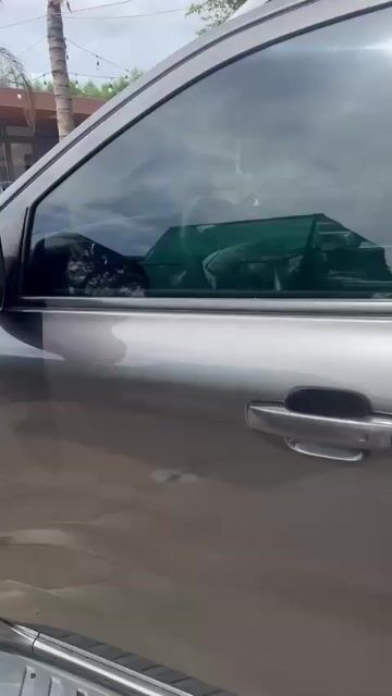 Ford Ranger 2023 Wildtrak 2.0L 4x4 AT - 60000 km. Mua bán Ô tô tại Huyện Châu Đức Bà Rịa - Vũng Tàu được đăng bởi Lê Hùng hình 1