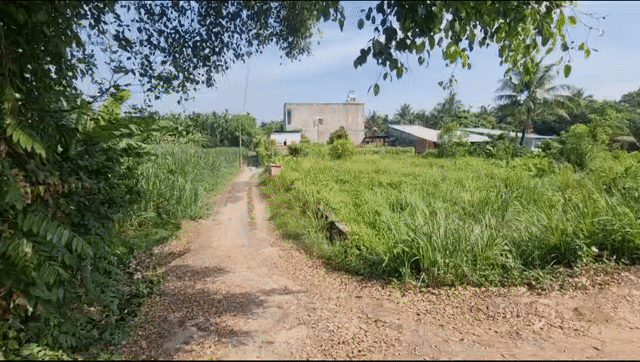 Mua bán Đất Huyện Hóc Môn Tp Hồ Chí Minh diện tích 1100 m² giá 14,5 tỷ