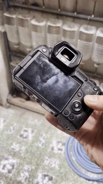 Máy ảnh Canon EOS R Đen kèm phụ kiện. Mua bán Máy ảnh, Máy quay tại Thành phố Thủ Đức Tp Hồ Chí Minh được đăng bởi Betta Sales hình 1