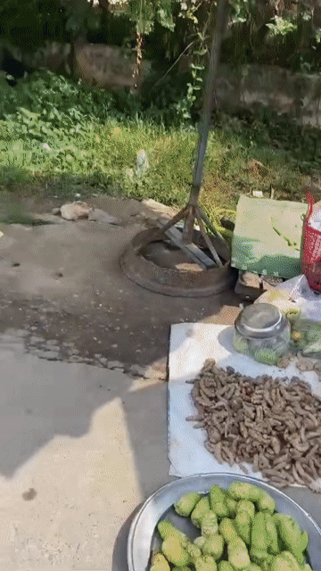 Mua bán Đất Huyện Châu Thành Tây Ninh diện tích 100 m² giá 850 triệu