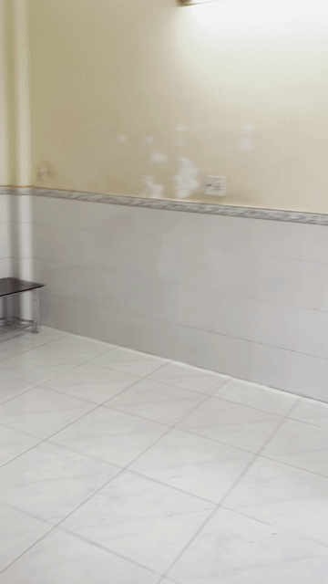 Cho thuê Nhà ở Huyện Nhà Bè Tp Hồ Chí Minh diện tích 50 m² giá 5 triệu/tháng