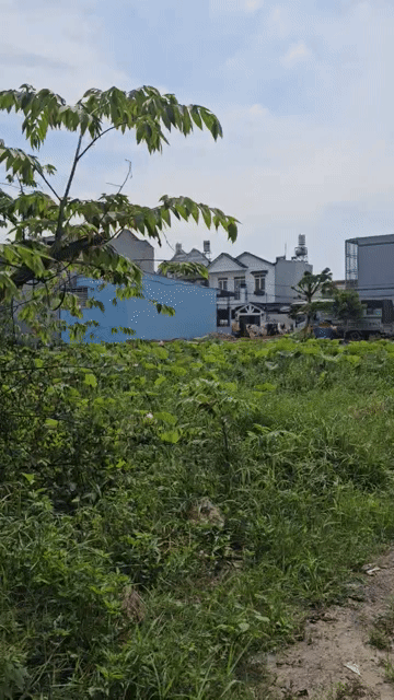 Mua bán Đất Huyện Hóc Môn Tp Hồ Chí Minh diện tích 875 m² giá 9,99 tỷ