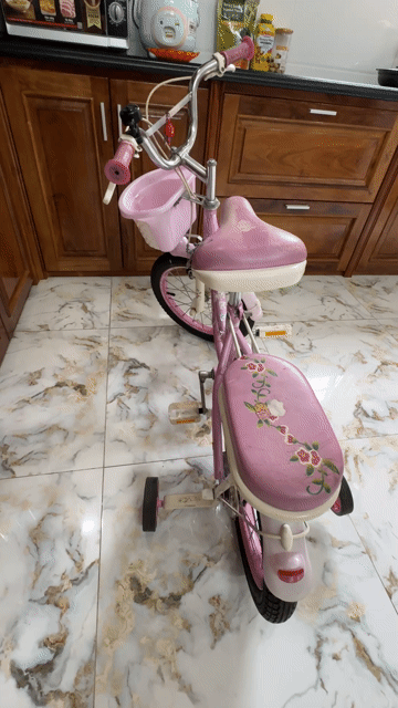 Xe đạp trẻ em Classic Hồng Nữ. Mua bán Xe đạp tại Thành phố Châu Đốc An Giang được đăng bởi Hoàng Định hình 1