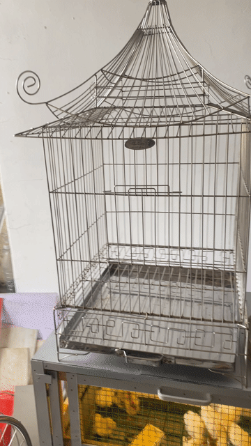 Lồng chim Inox size 34. Mua bán Phụ kiện, Thức ăn, Dịch vụ tại Quận Lê Chân Hải Phòng được đăng bởi phú bq 1984 hình 1