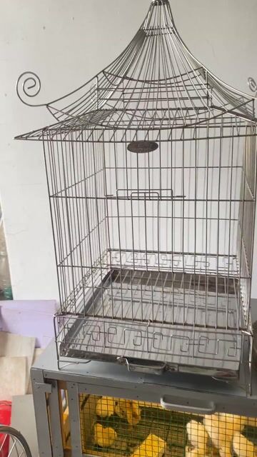 Lồng chim Inox size 34. Mua bán Phụ kiện, Thức ăn, Dịch vụ tại Quận Lê Chân Hải Phòng được đăng bởi phú bq 1984 hình 1