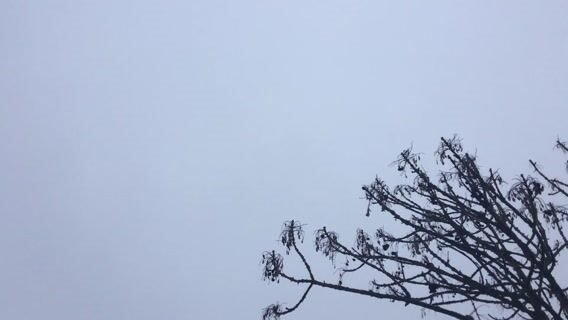 Equipier polyvalent du commerce au magasin U Express