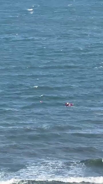 thanh lý thuyền hơi chạy bằng moto xăng 2hp. Mua bán Phương tiện khác tại Thành phố Vũng Tàu Bà Rịa - Vũng Tàu được đăng bởi phạm merry hình 1