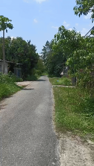 Cho thuê Nhà ở Huyện Củ Chi Tp Hồ Chí Minh diện tích 1000 m² giá 3 triệu/tháng