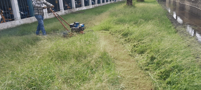 máy cắt cỏ sân vườn. Mua bán Phương tiện khác tại Quận 8 Tp Hồ Chí Minh được đăng bởi Đức Tiến Phát hình 1