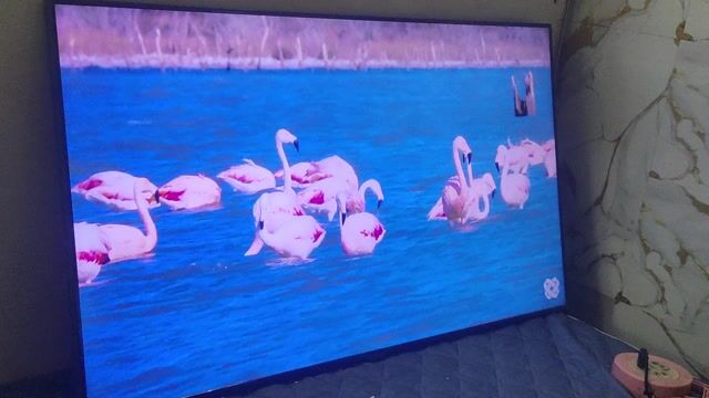 Tivi Samsung 50 inch 2020. Mua bán Tivi, Âm thanh tại Quận 5 Tp Hồ Chí Minh được đăng bởi dịch vụ ráy tai  hình 1