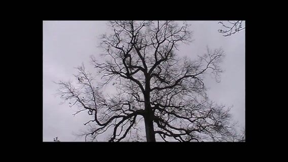 Prendre un peu de hauteur