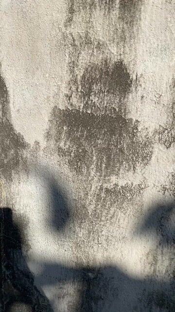 🎀Chậu cây handmade Tiểu Hợi gắn hoa trên đầu. Mua bán Cây cảnh, đồ trang trí tại Thành phố Phan Thiết Bình Thuận được đăng bởi Nga Nguyễn hình 1