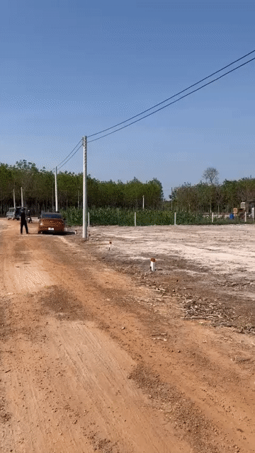Mua bán Đất Huyện Dầu Tiếng Bình Dương diện tích 150 m² giá 150 triệu