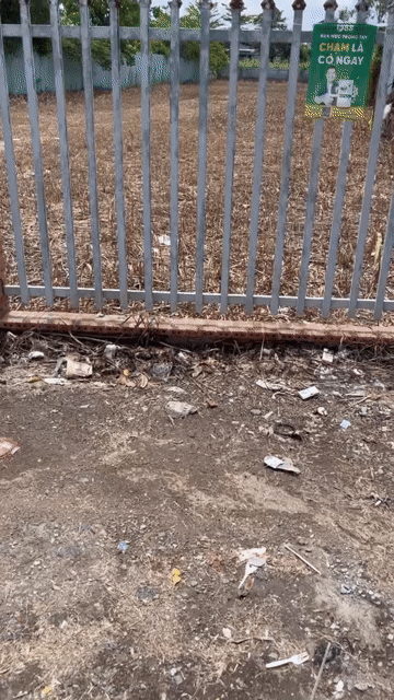 Mua bán Đất Huyện Nhà Bè Tp Hồ Chí Minh diện tích 1500 m² giá 16,9 tỷ