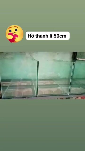 Bể cá cảnh Kính 50x27x30cm. Mua bán Phụ kiện, Thức ăn, Dịch vụ tại Quận Liên Chiểu Đà Nẵng được đăng bởi Trương Ngân Hà hình 1