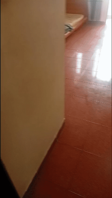 Cho thuê Phòng trọ Quận Bình Thạnh Tp Hồ Chí Minh diện tích 20 m² giá 2,75 triệu/tháng