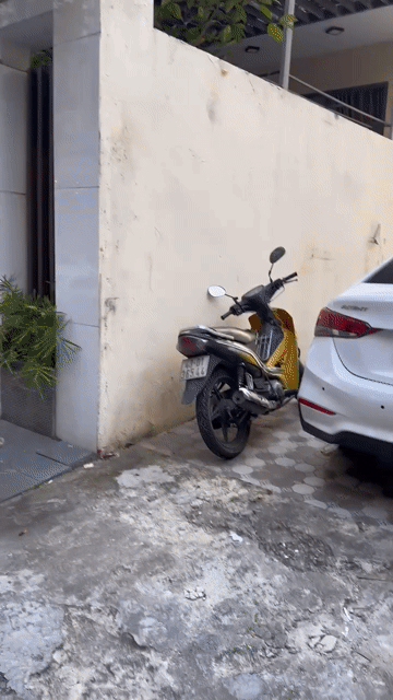 Cho thuê Đất Quận Hải Châu Đà Nẵng diện tích 125 m² giá 3,5 triệu/tháng