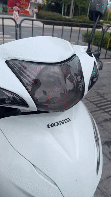 Honda Wave Alpha 2020 Trắng. Mua bán Xe máy tại Quận Gò Vấp Tp Hồ Chí Minh được đăng bởi Xe máy Phan Nhật  hình 1