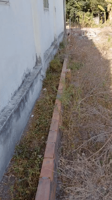 Mua bán Đất Huyện Dương Minh Châu Tây Ninh diện tích 196 m² giá 1,18 tỷ