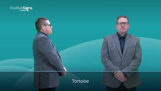 Tortoise