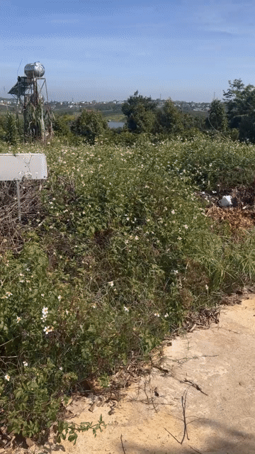 Mua bán Đất Huyện Di Linh Lâm Đồng diện tích 123.3 m² giá 2,2 tỷ