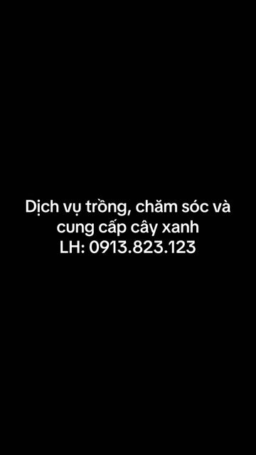 Dịch vụ Trồng và chăm sóc cây xanh. Dịch vụ tại Thành phố Tây Ninh Tây Ninh được đăng bởi PCCC Tây Ninh hình 1