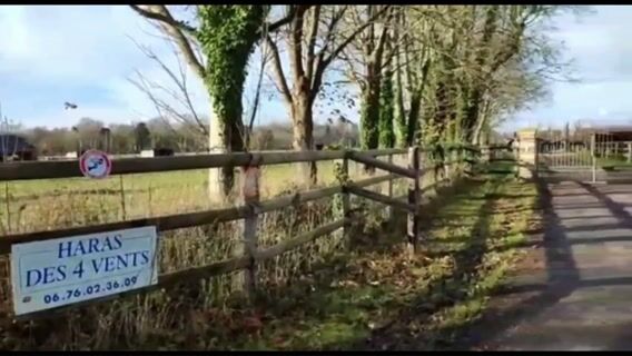 Éleveur-entraineur équin