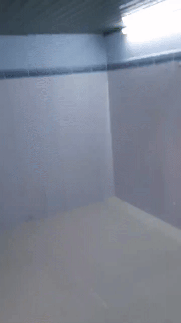 Cho thuê Phòng trọ Quận 8 Tp Hồ Chí Minh diện tích 20 m² giá 2,5 triệu/tháng