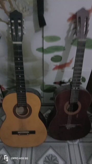 Đàn guitar classic Nâu vàng Gỗ. Mua bán Nhạc cụ tại Huyện Kim Bảng Hà Nam được đăng bởi TẠ Phất hình 1