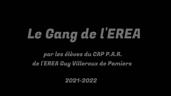 Le gang de E.R.E.A