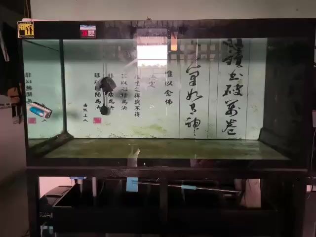 Bể cá cảnh 1m33 model 6868. Mua bán Phụ kiện, Thức ăn, Dịch vụ tại Huyện Trảng Bom Đồng Nai được đăng bởi Từ Văn Tuấn hình 1