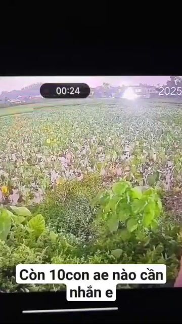 Camera an ninh Imou Titan Pro. Mua bán Máy ảnh, Máy quay tại Thành phố Thủ Đức Tp Hồ Chí Minh được đăng bởi an vu hình 1