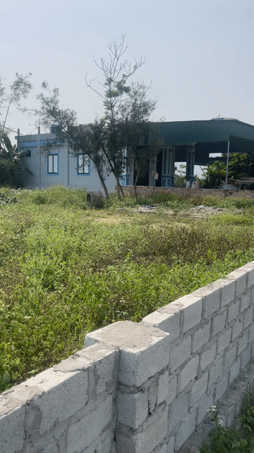 Mua bán Đất Huyện Lộc Hà Hà Tĩnh diện tích 252 m² giá 1,25 tỷ