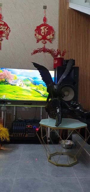 Dàn karaoke LG PA 5700 32 sò. Mua bán Tivi, Âm thanh tại Quận Ninh Kiều Cần Thơ được đăng bởi mai vàng 12cánh  hình 1