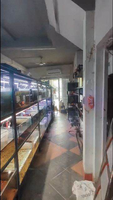 Cho thuê Văn phòng, Mặt bằng kinh doanh Quận Hoàng Mai Hà Nội diện tích 45 m² giá 7,5 triệu/tháng