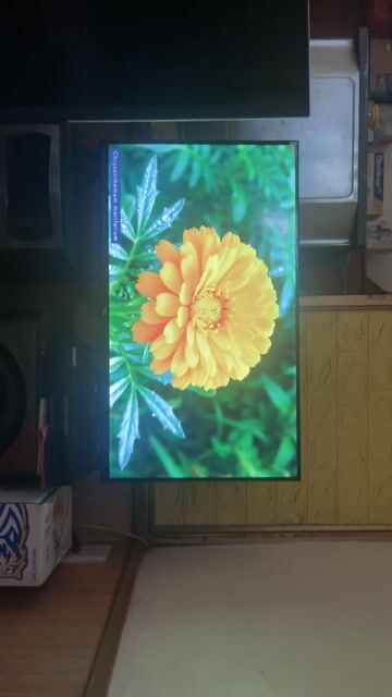Tivi TCL Google TV 32 inch Đã sử dụng. Mua bán Tivi, Âm thanh tại Thành phố Thái Bình Thái Bình được đăng bởi nguyen thanh hình 1