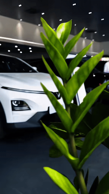 SỞ HỮU VF6 Chỉ từ 72tr nhận xe, BAO HỒ SƠ THẬT KHÓ. Mua bán Ô tô tại Quận 4 Tp Hồ Chí Minh được đăng bởi Kỳ Nguyễn VinFast hình 1