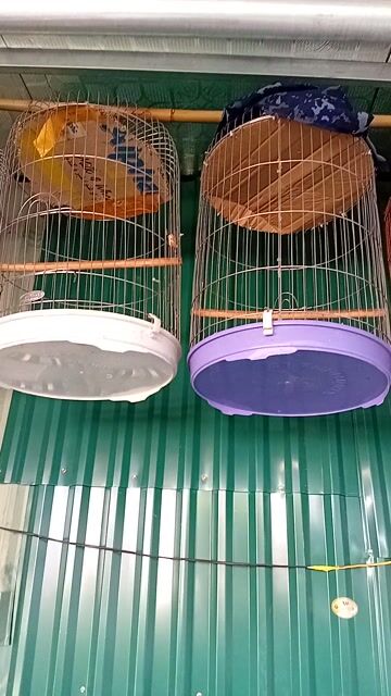 Lồng chim Khướu Inox size 42. Mua bán Phụ kiện, Thức ăn, Dịch vụ tại Huyện Thanh Trì Hà Nội được đăng bởi Lương Tấn Thịnh hình 1