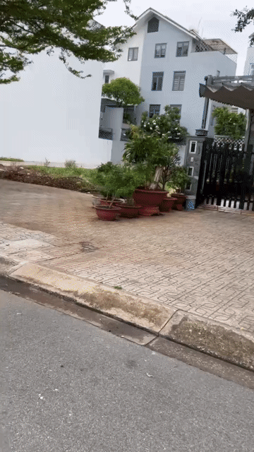 Mua bán Đất Huyện Bình Chánh Tp Hồ Chí Minh diện tích 80 m² giá 1,039 tỷ