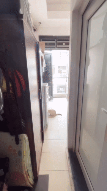 Cho thuê Phòng trọ Quận Hà Đông Hà Nội diện tích 20 m² giá 3,33 triệu/tháng
