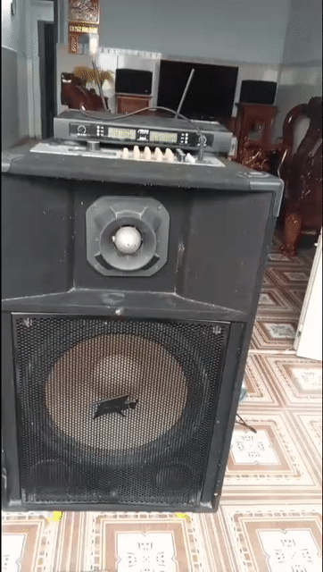 Loa kẹo kéo 4 tấc rưỡi màu Đen cắm điện. Mua bán Tivi, Âm thanh tại Huyện Hóc Môn Tp Hồ Chí Minh được đăng bởi Anh Hoàng hình 1