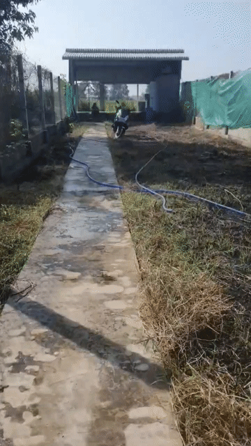 Mua bán Đất Huyện Bến Cầu Tây Ninh diện tích 219.8999 m² giá 690 triệu