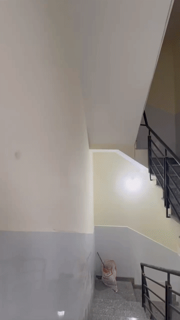 Cho thuê Phòng trọ Quận Bình Thạnh Tp Hồ Chí Minh diện tích 30 m² giá 5,4 triệu/tháng