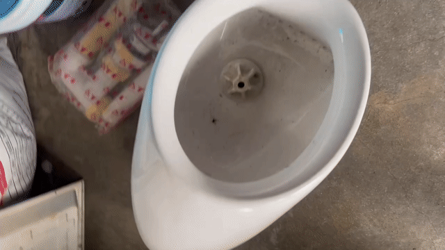 Bồn tiểu nam Inax Trắng Sứ. Mua bán Thiết bị vệ sinh, nhà tắm tại Quận 3 Tp Hồ Chí Minh được đăng bởi Đào Ngọc Sơn hình 1