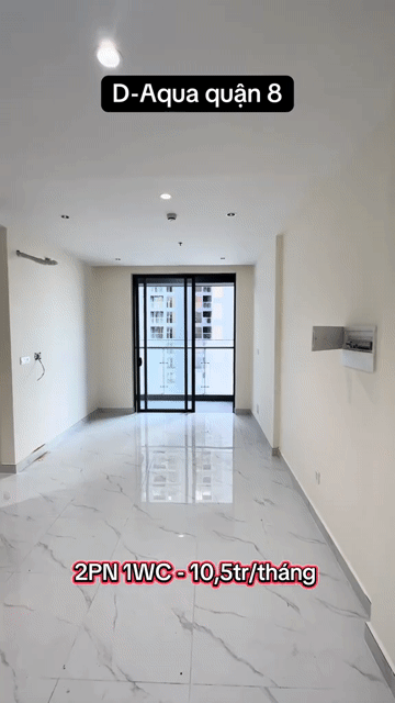 Cho thuê Căn hộ Chung cư Căn hộ D-Aqua Quận 8 Tp Hồ Chí Minh diện tích 54 m² giá 9 triệu/tháng