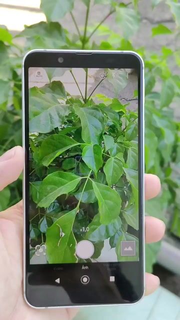 Sharp Sense 3 Basic 64GB Bạc. Mua bán Điện thoại tại Thị xã Tân Uyên Bình Dương được đăng bởi Hoài Giang hình 1