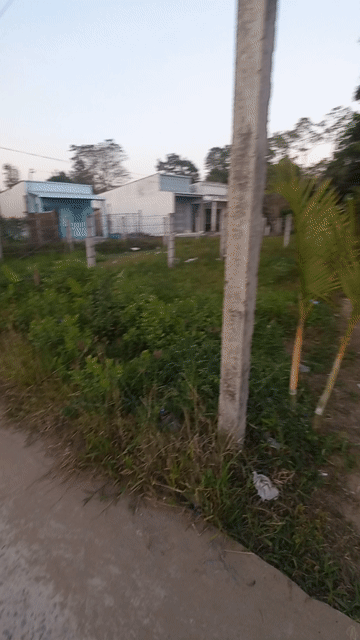 Mua bán Đất Huyện Trà Cú Trà Vinh diện tích 875 m² giá 1,4 tỷ