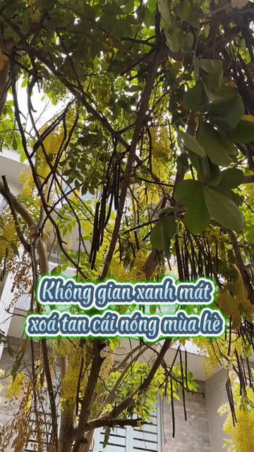 Cho thuê Phòng trọ Quận 7 Tp Hồ Chí Minh diện tích 15 m² giá 3,5 triệu/tháng