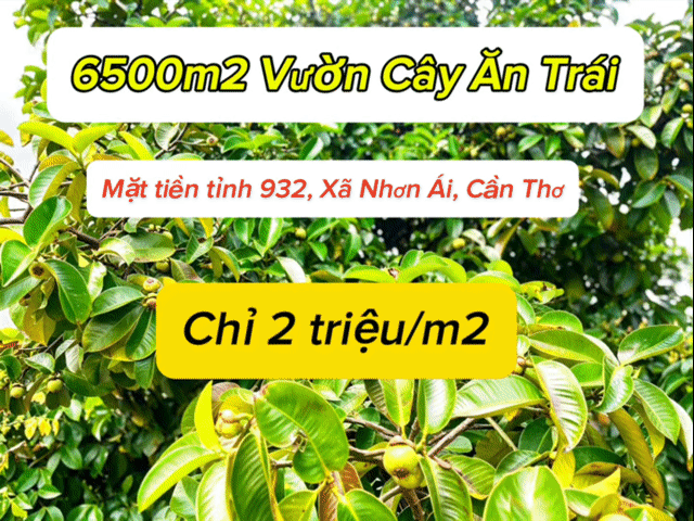 Mua bán Đất Huyện Phong Điền Cần Thơ diện tích 6500 m² giá 13 tỷ